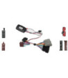 RAT INTERFACE TIL FORD FOCUS