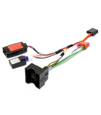 Ratinterface Ford (m/Can Styring)