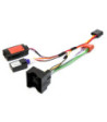 Ratinterface Ford (m/Can Styring)