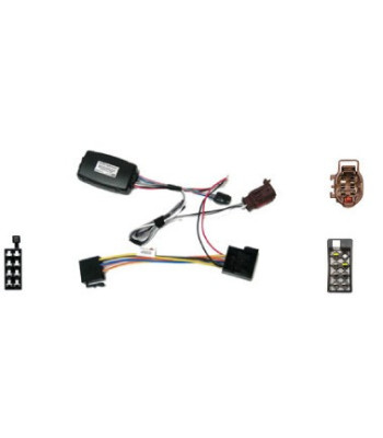 Rat Interface Til Peugeot 406