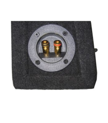 Pioneer UD-SW104S