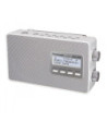 Panasonic RF-D10EG-W