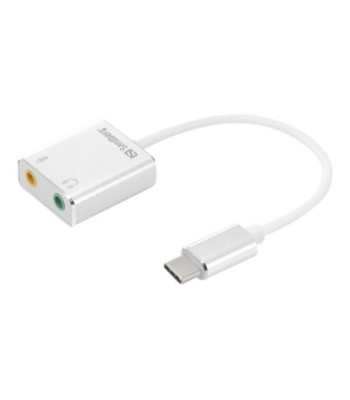 USB-C to Sound Link
