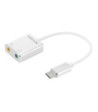 USB-C to Sound Link