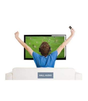 Hall Audio HeadPhone Connector - bluetooth sender