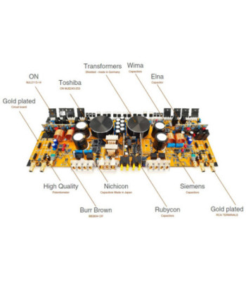 Phoenix Gold ZQ9004