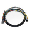 Phoenix Gold ZDAISOT _ ISO T Harness for ZDA4.6 DSP Amplifier