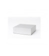 Pro-Ject Power Box DS2 AMP Black