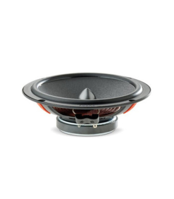 FOCAL ISU165