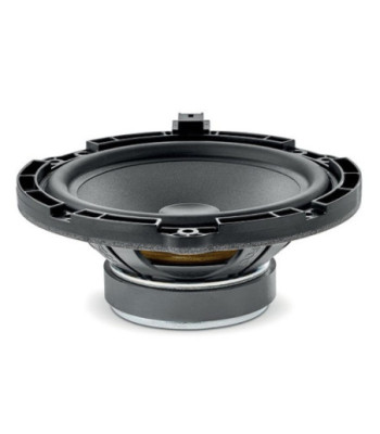 FOCAL ISPSA165