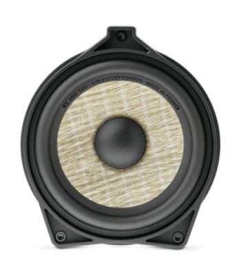 FOCAL ICCMBZ100