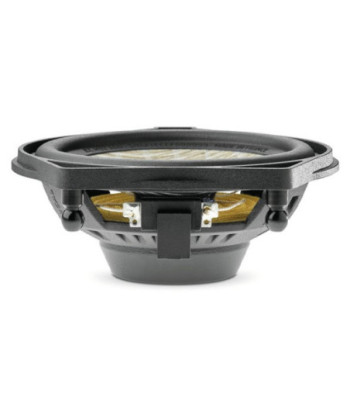FOCAL ICCMBZ100
