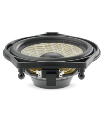 FOCAL ICCMBZ100