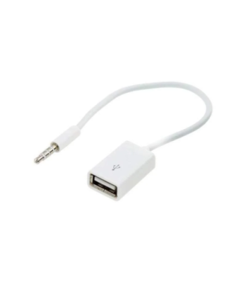 3.5mm minijack han til USB 2.0 hun - 0.20 m.