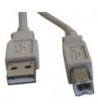 USB-KABEL TYPE-A-HAN/TYPE-B-HAN 1