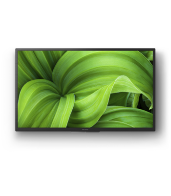 Sony
Sony KD32W804P1AEP - LED Android TV