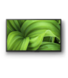Sony
Sony KD32W804P1AEP - LED Android TV