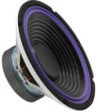 10´´ autowoofer - SP-252C MONACOR