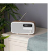 VQ Dexter radio. Oak