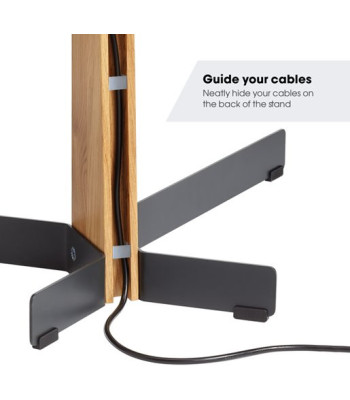 Vogels TVS 3695 TV Floor Stand