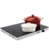Fritel WT 2478 142115 - Varmeplade