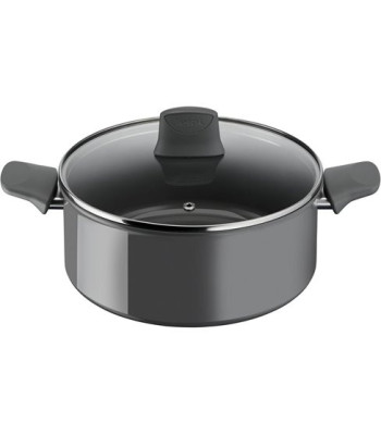 Tefal Renewal Stewpot 24 cm