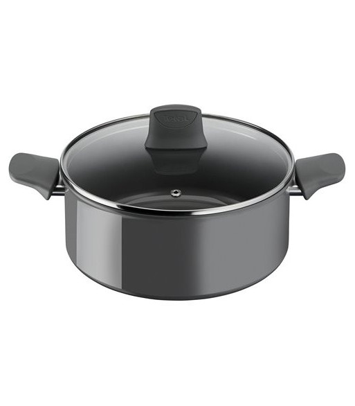 Tefal Renewal Stewpot 24 cm