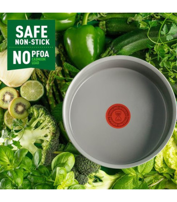 Tefal Renewal Stewpot 24 cm
