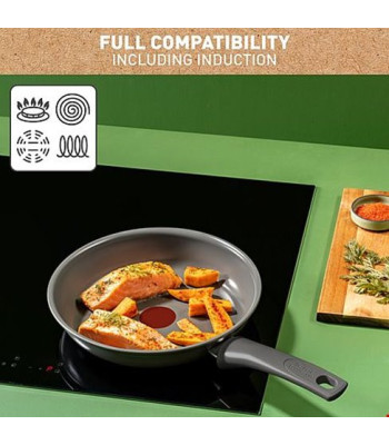 Tefal Renewal Stegepande 24 cm - Stegepande