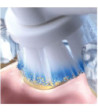 Oral-B C&C 2+2+2 st - Tilbehør til tandpleje