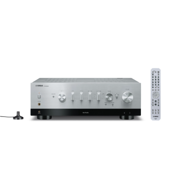Netværks Receiver R-N1000A SI