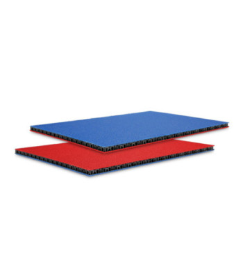 SolidLite® PP. Plate Blue / Red 6