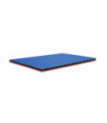 SolidLite® PP. Plate Blue / Red 6