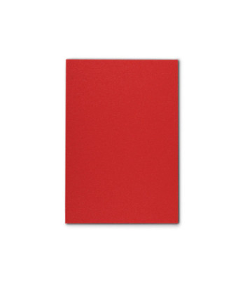 SolidLite® PP. Plate Blue / Red 6