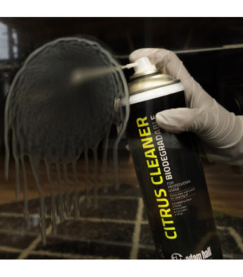  500 ml Can