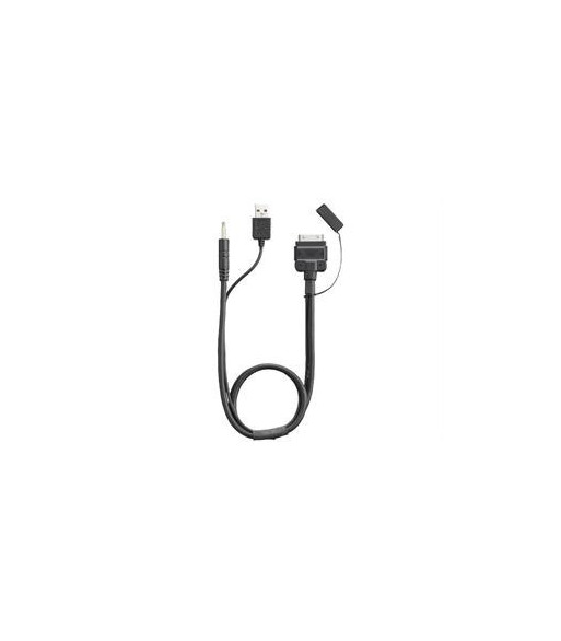 Pioneer CA-iW.51V
