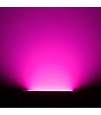  Blinder and Wash Light