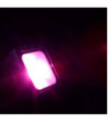 Cameo Outdoor Flood Light with 60 Watt Tri-Color COB LED in Black Housing