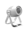 Cameo Compact Spot with 40 W WW LED in White Finish