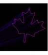 Cameo Professional 700 mW RGB Show Laser