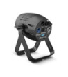 Cameo Compact Spotlight with 40W RGBW LED in Black Housing