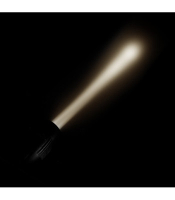 Cameo Compact Spot with 40 W Tunable White LED Finished in Black