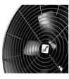 Cameo Wind Machine with Adjustable Fan Speed and Air Flow Direction