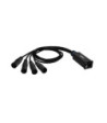 Audio & DMX Multicore | Adam Hall® 4 XLR 5-pole Male x Cat.6a