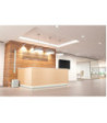 LD Systems Compact column PA system active with built-in mixer and Bluetooth black