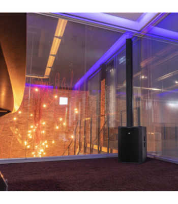 LD Systems Cardioid powered Column Loudspeaker