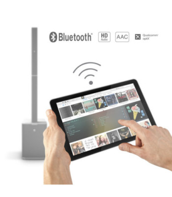 LD Systems Cardioid powered Column Loudspeaker