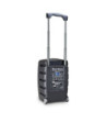 LD Systems Battery-Powered Bluetooth Speaker with Mixer and 2 Wireless Microphones