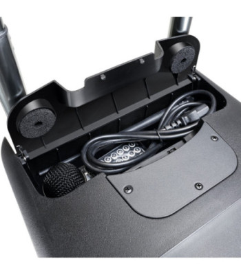 LD Systems Battery-Powered Bluetooth Speaker with Mixer and 2 Wireless Microphones