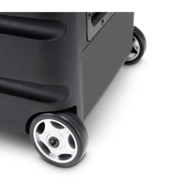 LD Systems Battery-Powered Bluetooth Speaker with Mixer and 2 Wireless Microphones